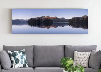 Why The Artwork In Your Dwelling Room Could Be Supporting Your Wellbeing Extra Than You Realise