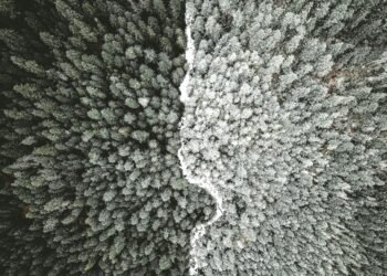 Measuring paranoid beliefs: can adaptive testing assist routine scientific care?