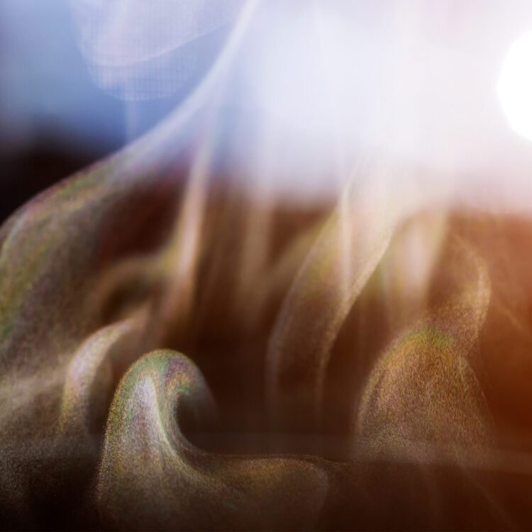 Perception Hour with Joseph Goldstein – Ep. 259 – Selflessness, Dukkha, and Freedom – Be Right here Now Community 2026