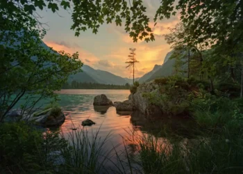 Conscious Residing: 4 Useful Methods to Calm Your Thoughts & Hold it From Racing