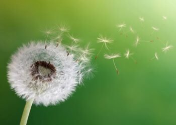 110 Quotes About Change on Development, Robust Occasions and a New Starting