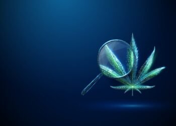 Medical cannabinoids as a remedy for psychological well being