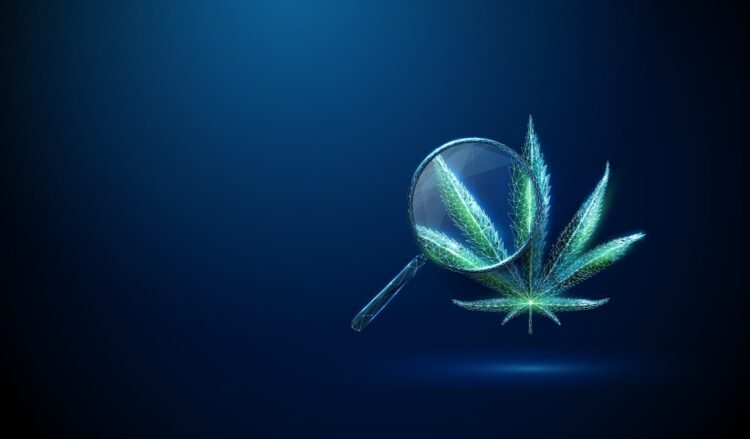 Medical cannabinoids as a remedy for psychological well being