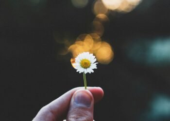 Anorexia restoration seems to be completely different for professionals and other people with lived expertise