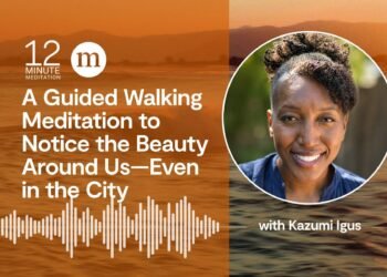 A Guided Strolling Meditation to Discover the Magnificence Round Us—Even within the Metropolis