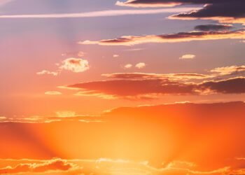 BHNN Visitor Podcast – Ep. 250