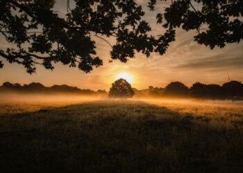 40 Quotes for Letting Go and Dealing with Issues You Can’t Management