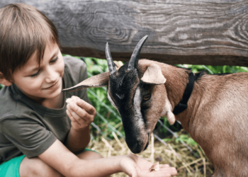 Positively Uplifting Tales | April 13 2026