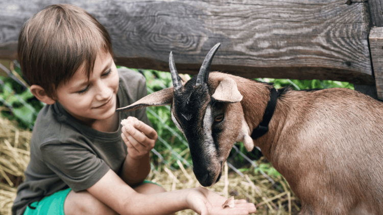 Positively Uplifting Tales | April 13 2026