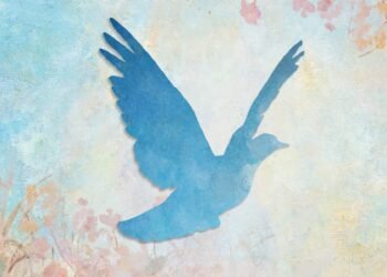 Democracy Does Not Work With out Mindfulness