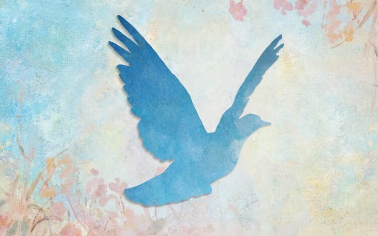 Democracy Does Not Work With out Mindfulness