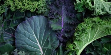 Can Magnesium Assist You Lose Weight?