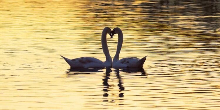 10 Tricks to Heal Your Attachment Type