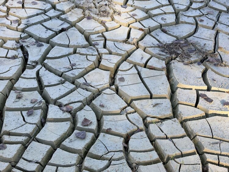 The Miracle of Existence – Deconstructing Your self