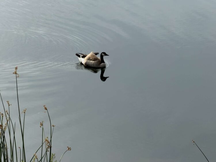 Openness Power Awake – Deconstructing Your self