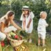 The Stunning Well being Advantages Of Spending Extra Time In Your Out of doors House