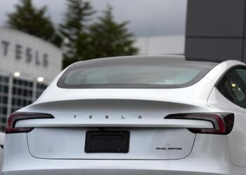 Musk pledges to repair 2019-2023 Teslas that may’t totally self drive