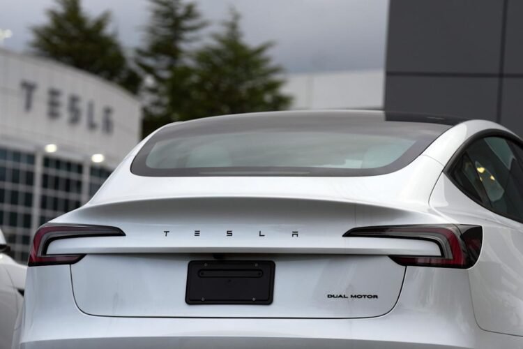 Musk pledges to repair 2019-2023 Teslas that may’t totally self drive