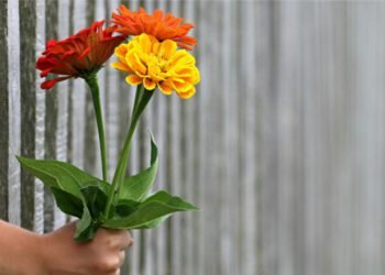 Once you really feel such as you’re giving and never getting…