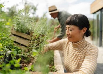 5 methods to show eco-anxiety into one thing optimistic