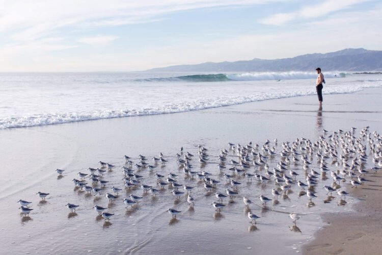 What went proper this week: the excellent news that issues