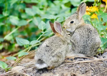 Positively Uplifting Tales | April 27 2026