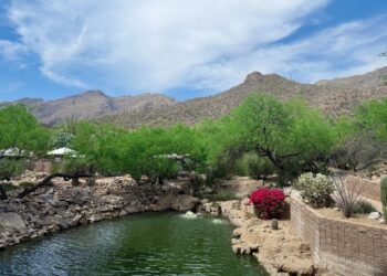 4.3 Friday Faves – The Fitnessista