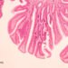 May Bovine Leukemia Virus be a Reason behind Breast Most cancers?