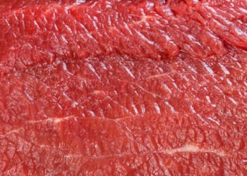 The Hyperlink Between Breast Most cancers and a Virus in Meat and Dairy
