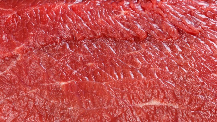 The Hyperlink Between Breast Most cancers and a Virus in Meat and Dairy