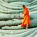Perception Hour with Joseph Goldstein – Ep. 261 – Gradual Cultivation in Buddhist Observe – Be Right here Now Community 2026