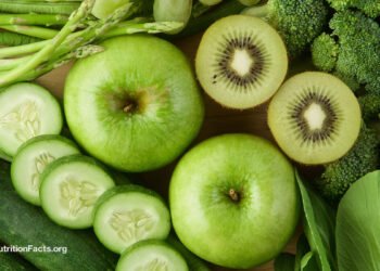 How Prebiotic Meals Maintain Your Microbiome Wholesome