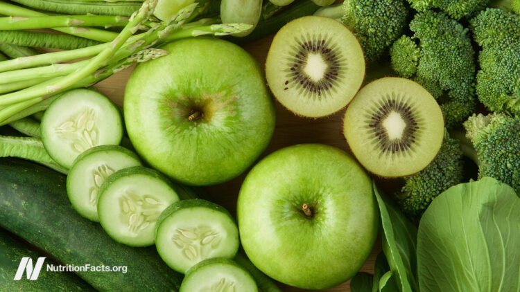 How Prebiotic Meals Maintain Your Microbiome Wholesome