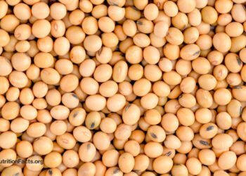 Does Much less Protein Enhance FGF21 for Longevity?