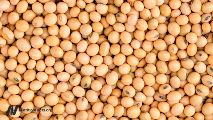 Does Much less Protein Enhance FGF21 for Longevity?