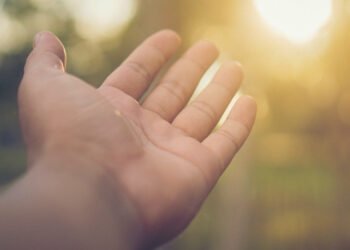Mindrolling with Raghu Markus – Ep. 645 – Proving a Miracle with Joshua Brown, PhD – Be Right here Now Community 2026