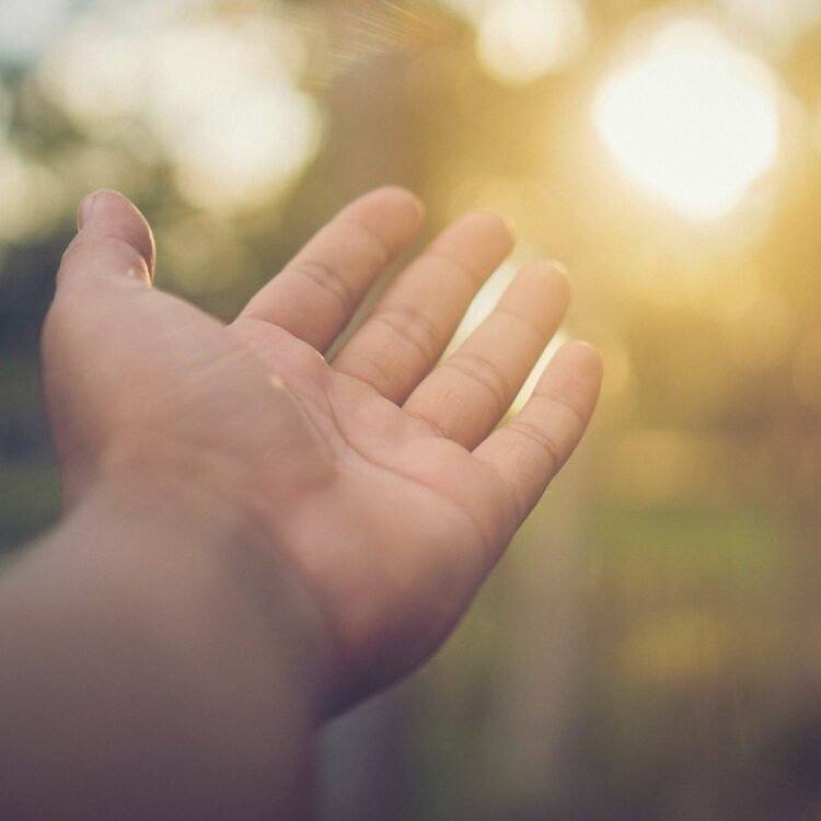 Mindrolling with Raghu Markus – Ep. 645 – Proving a Miracle with Joshua Brown, PhD – Be Right here Now Community 2026