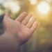 Mindrolling with Raghu Markus – Ep. 645 – Proving a Miracle with Joshua Brown, PhD – Be Right here Now Community 2026