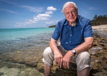 15 of the very best quotes from Sir David Attenborough