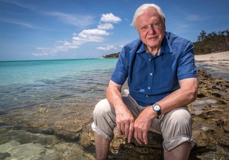 15 of the very best quotes from Sir David Attenborough
