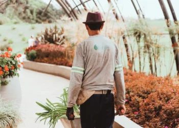 4 Light Methods to Deepen Your Nature Apply & Decrease Stress – Wherever