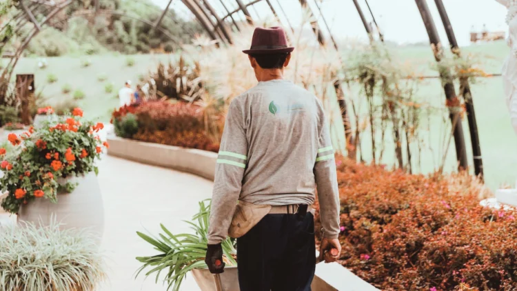 4 Light Methods to Deepen Your Nature Apply & Decrease Stress – Wherever