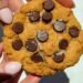 Air Fryer Cookie for One (Single-Serve Chocolate Chip!)