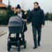 Co-Parenting That Works: Constructing an Alliance