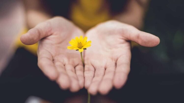 The Therapeutic Energy of Presence — Mindfulness Workouts