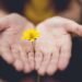 The Therapeutic Energy of Presence — Mindfulness Workouts