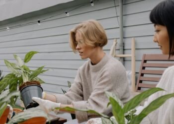 The Position Of A Greener Backyard