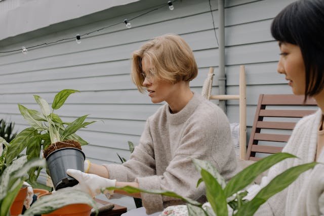 The Position Of A Greener Backyard
