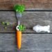 What To Do Earlier than Age 2 To Cut back Choosy Consuming (Backed By Analysis)