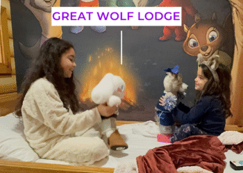 What Mothers Visiting Nice Wolf Lodge for the First Time Must Know